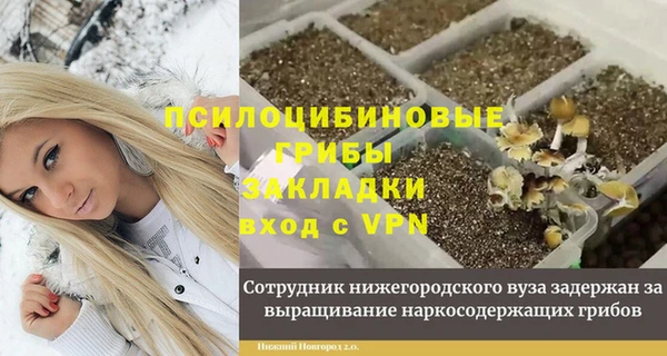 прущие грибы Абдулино
