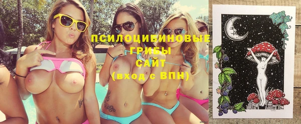 прущие грибы Абдулино