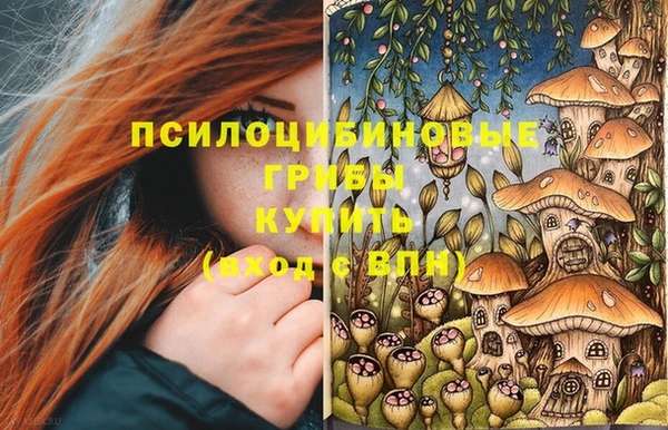 прущие грибы Абдулино