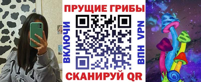 цена наркотик  Благовещенск  ссылка на мегу ТОР  Галлюциногенные грибы прущие грибы 