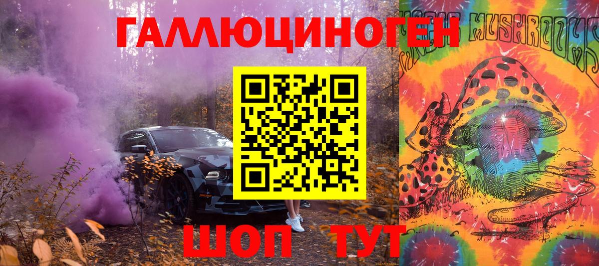 как найти   Вход с VPN  Благовещенск  Псилоцибиновые грибы мухоморы 